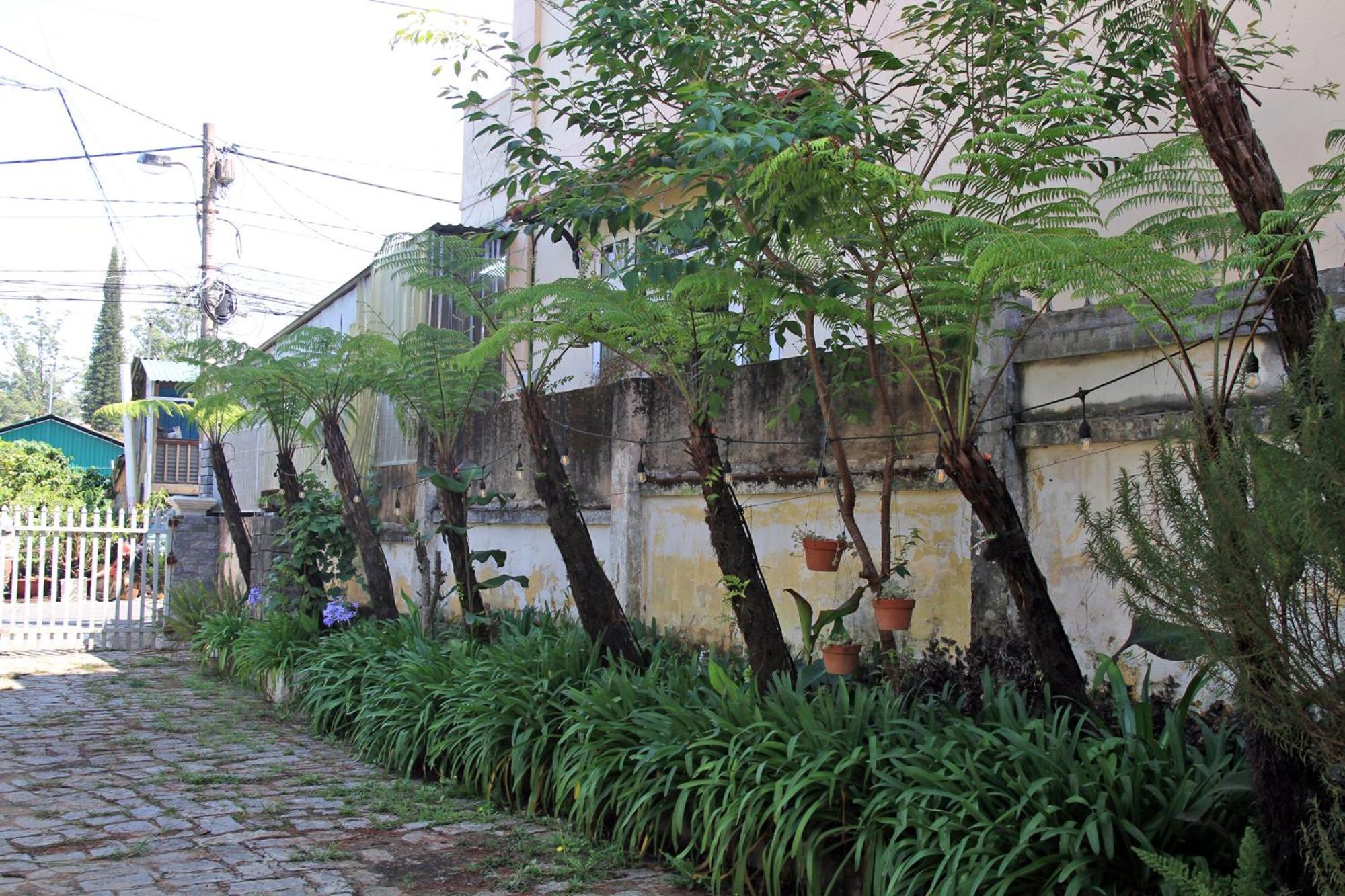 Homestaynhatuiminh Dalat Exterior foto